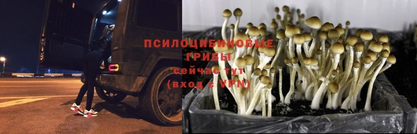 кокаин колумбия Ладушкин