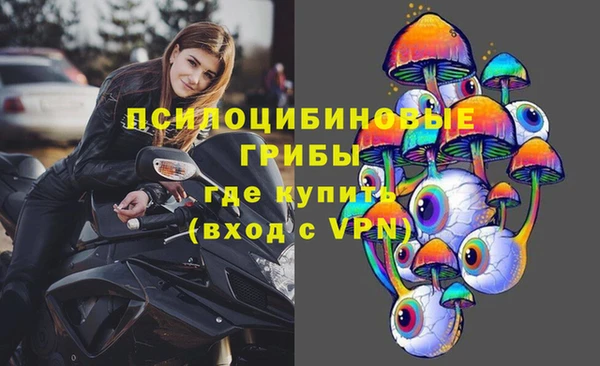 СК Куйбышев