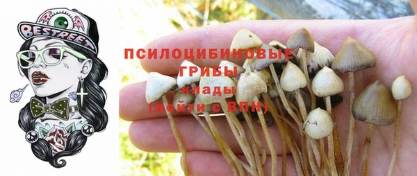 СК Куйбышев