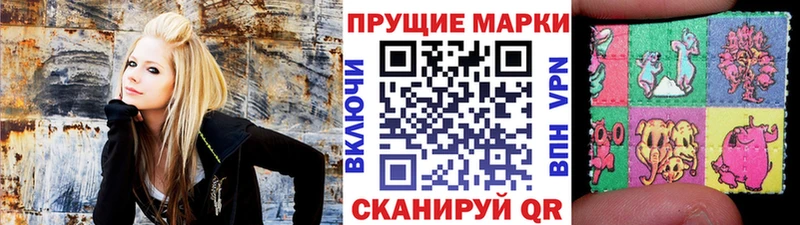магазин продажи   блэк спрут ССЫЛКА  Наркотические марки 1,8мг  Малгобек 