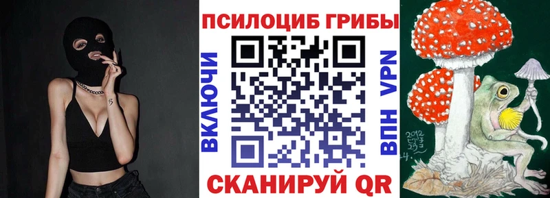 Галлюциногенные грибы Psilocybe  гидра как зайти  Малгобек  где найти наркотики 