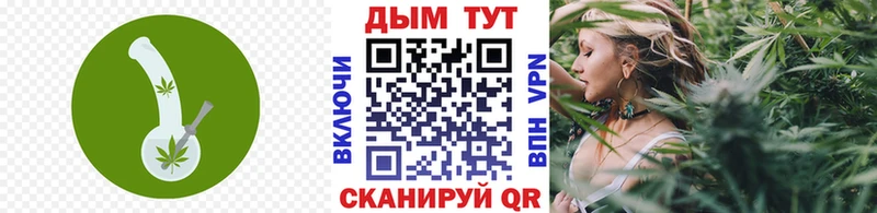 Каннабис MAZAR  Малгобек 